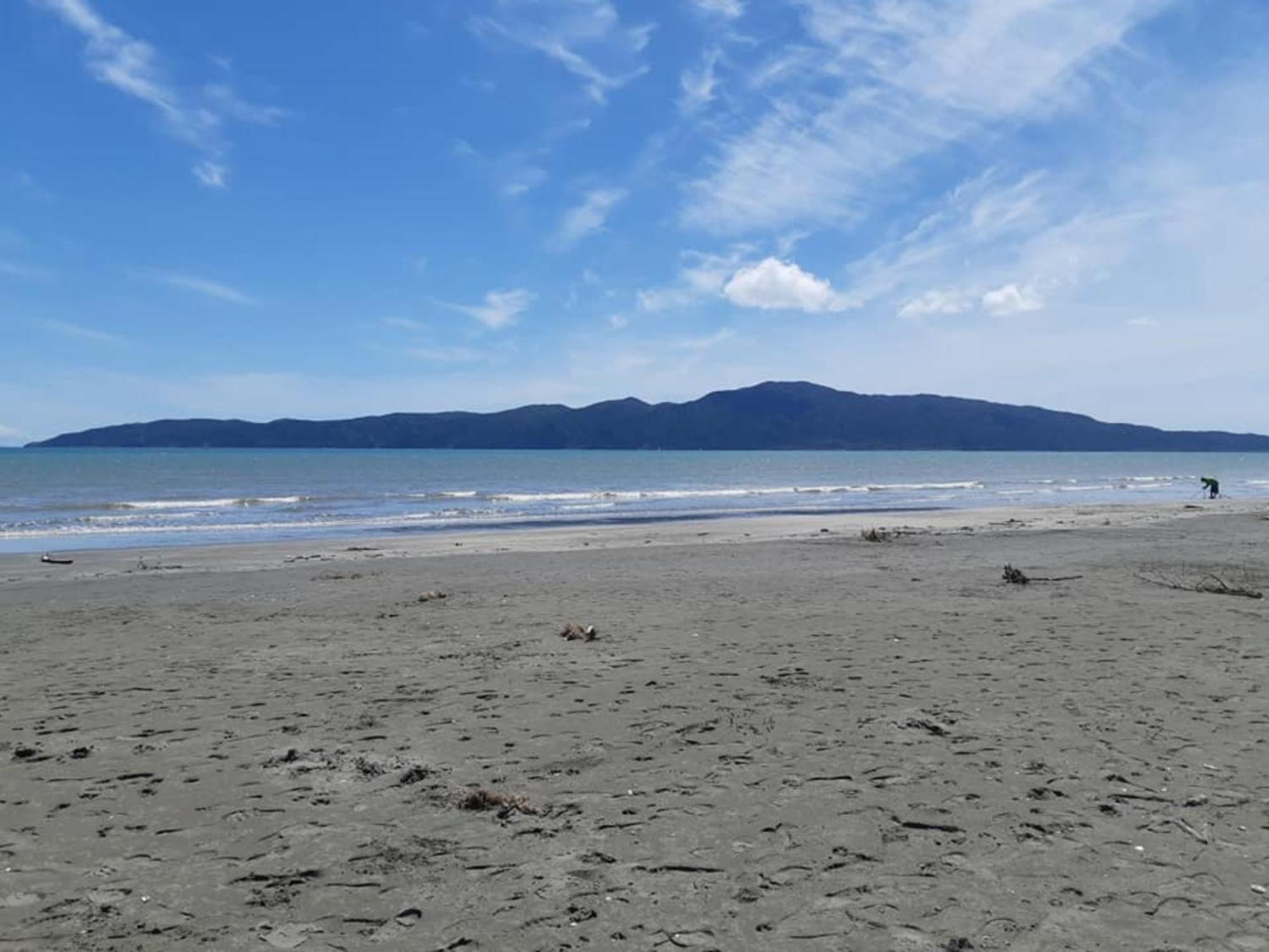 Raumati Guest House Paraparaumu Kültér fotó