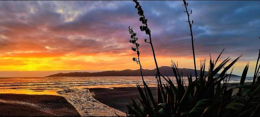 Raumati Guest House Paraparaumu Kültér fotó